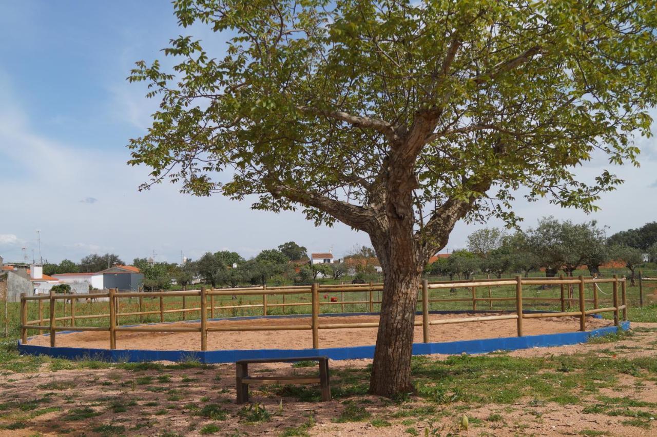 Tapada Do Chafariz Bed & Breakfast Estremoz Exterior foto
